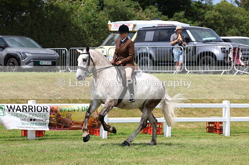 3E7A1968 - Class 10: Open Cob