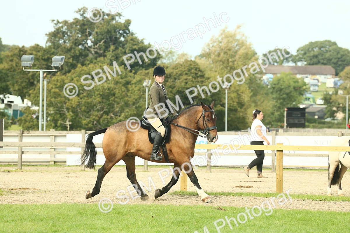 SBM_68261 - S58 - Mini Show Cob Ridden