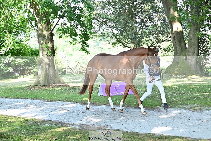 250521A-161839-01052 - C-214-Jeanette.Brakewell-ONE.NIGHT.ONLY