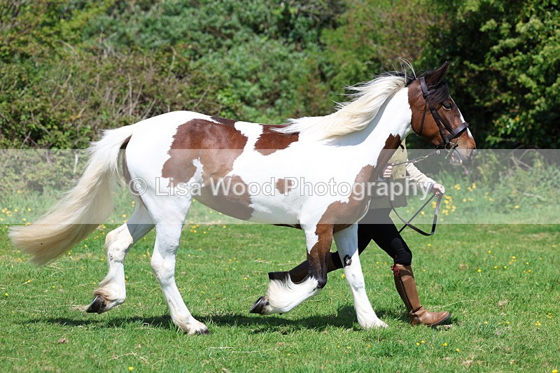 3E7A0294 - Class 19: Best Coloured in Hand