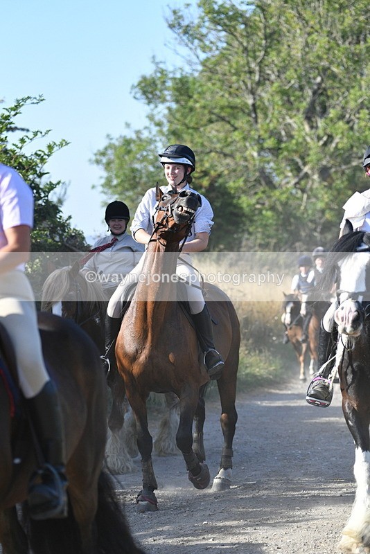 WJ5_4931 - Walk out with the hounds