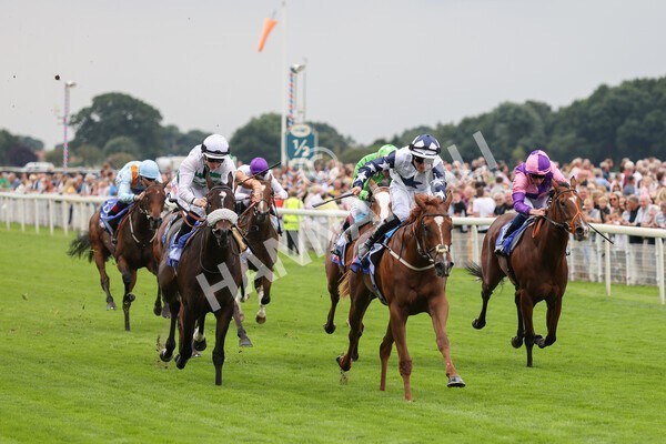 yr19082021r1-18 - Race 1 1.50pm Sky Bet Lowther Stakes