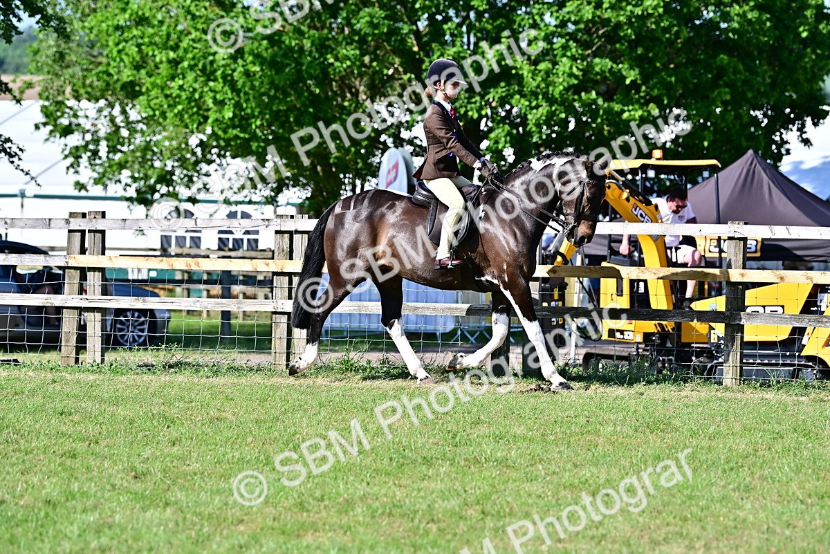 SBM_19564 - Class 101-102 - BSPS LIHS Performance Coloured Horse/Pony