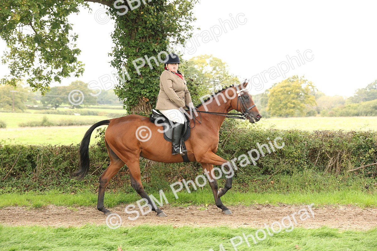 SBM_64196 - S65 - Riding Horse & Hack & Thoroughbred Ridden