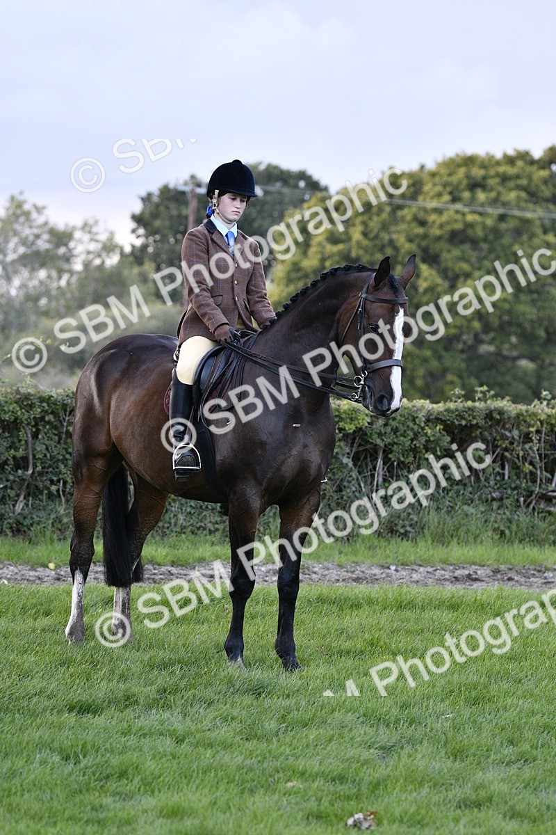 SBM_53602 - S14 - Riding Club Horse