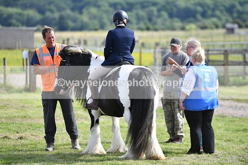 WJ5_7808 - Time 16:40 to 16:55