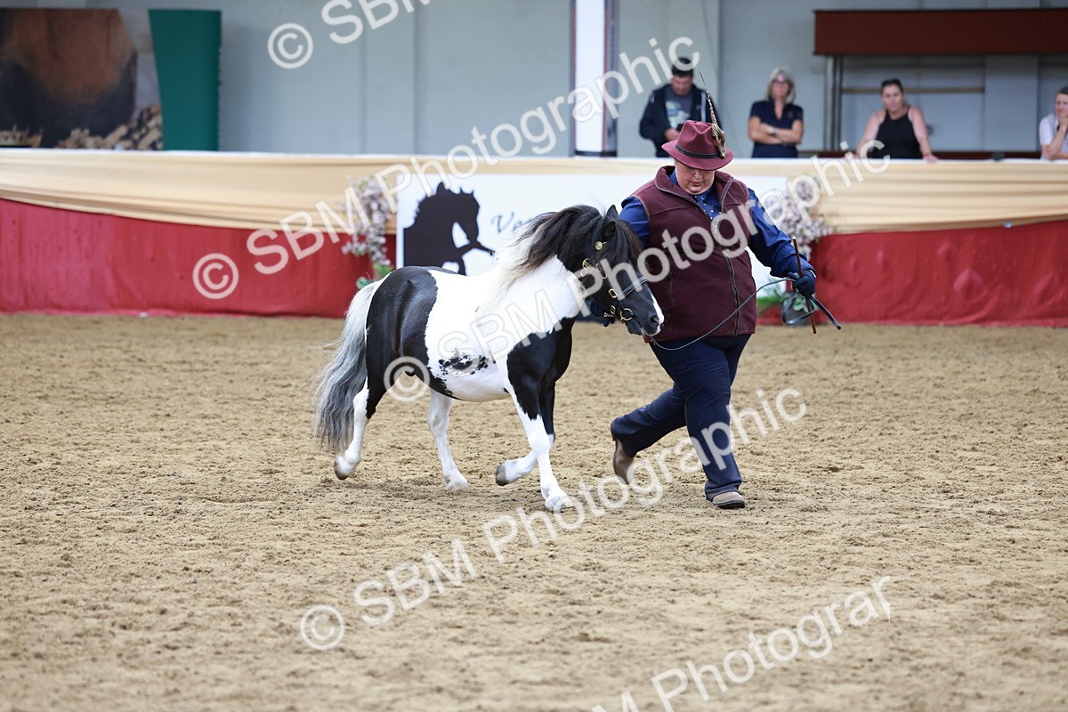 SBM_17334 - Class 951 - M&M IH Supreme Final