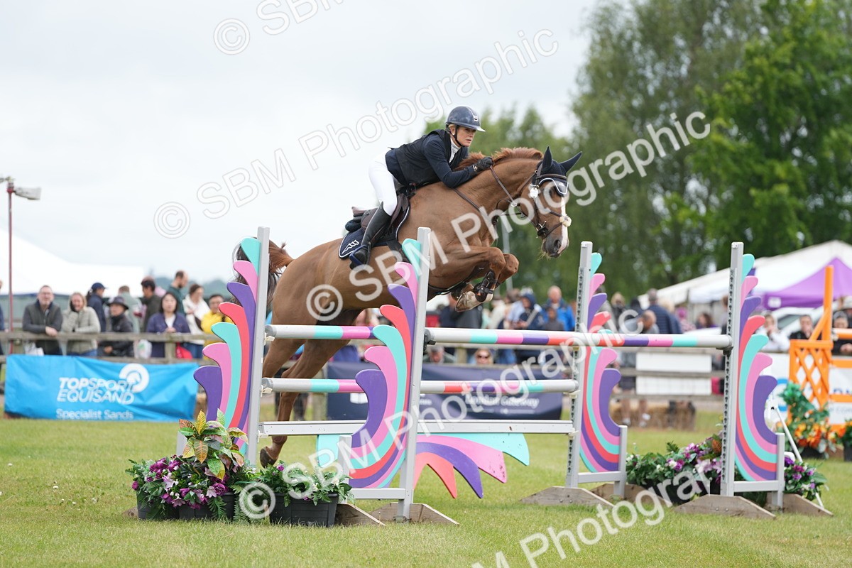 SBM_03187 - Class 201 - British Horse Feeds Speedi Beet Horse of the Year Show Grade  C
