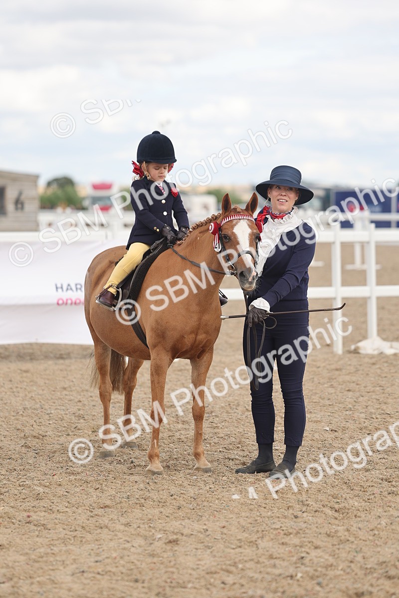 SBM_15810 - Class 309 - Lead Rein Pony
