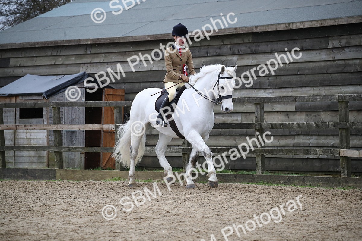 SBM_007316 - Class 10-13 - RIHS Small Large Breeds