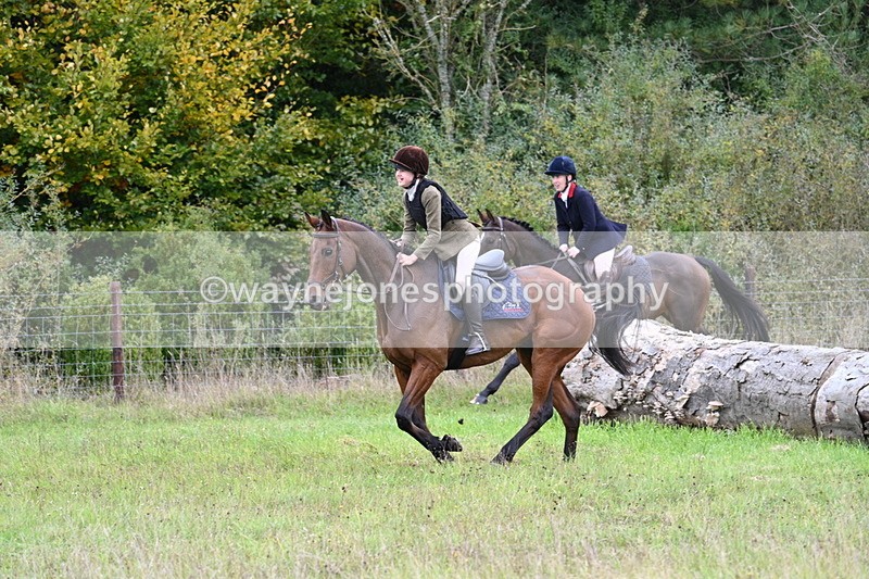 WJ7_3979 - Camera 1 Line 1