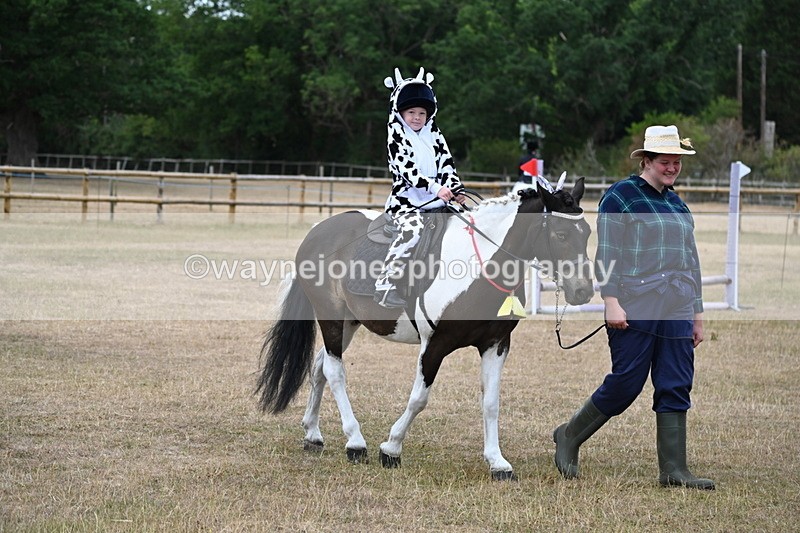 WJ6_8634 - Class 11 Fancy Dress