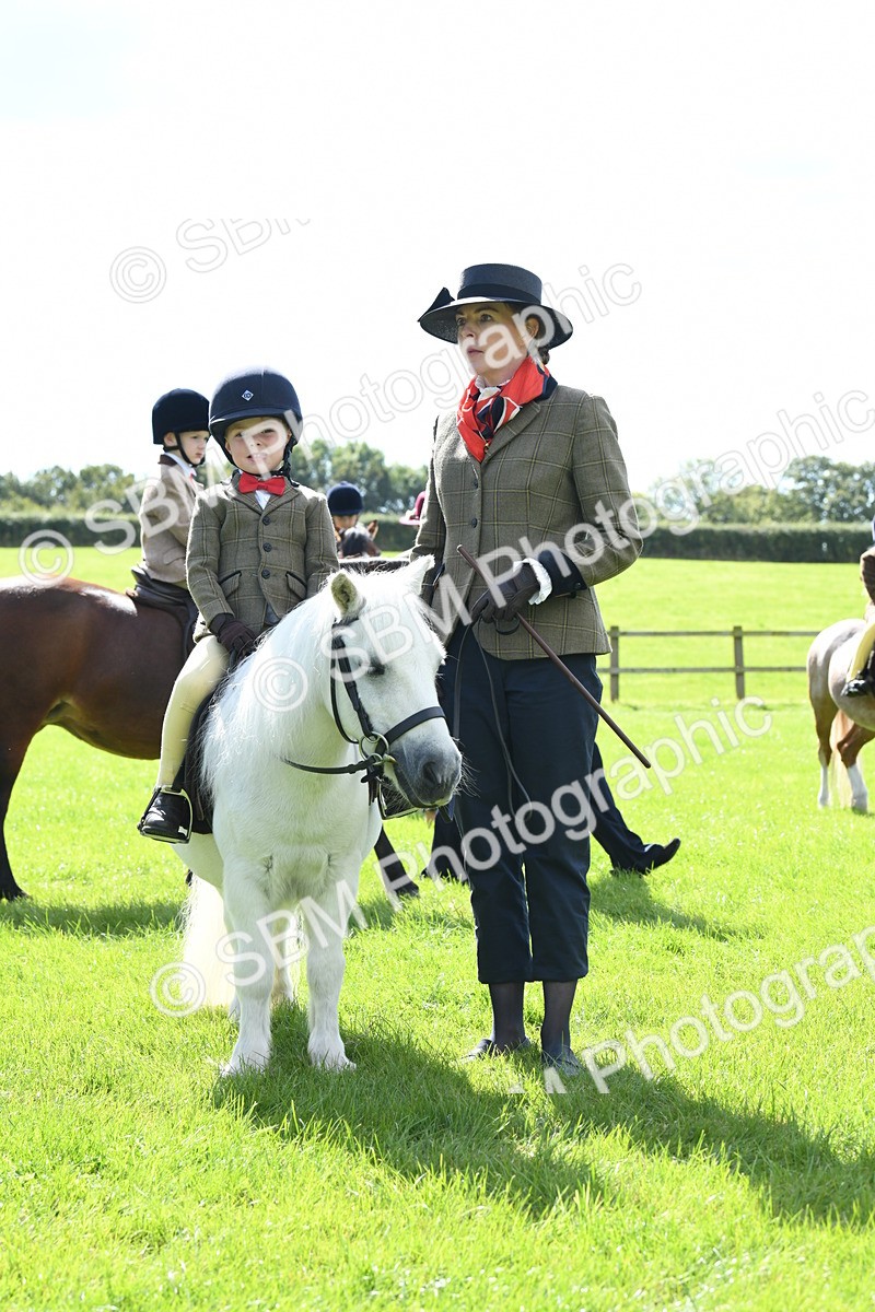 SBM_42631 - S20 - Lead Rein Mountain & Moorland Pony