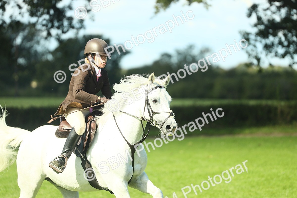 SBM_39234 - S29 - Novice & Newcomers Working Hunter Pony