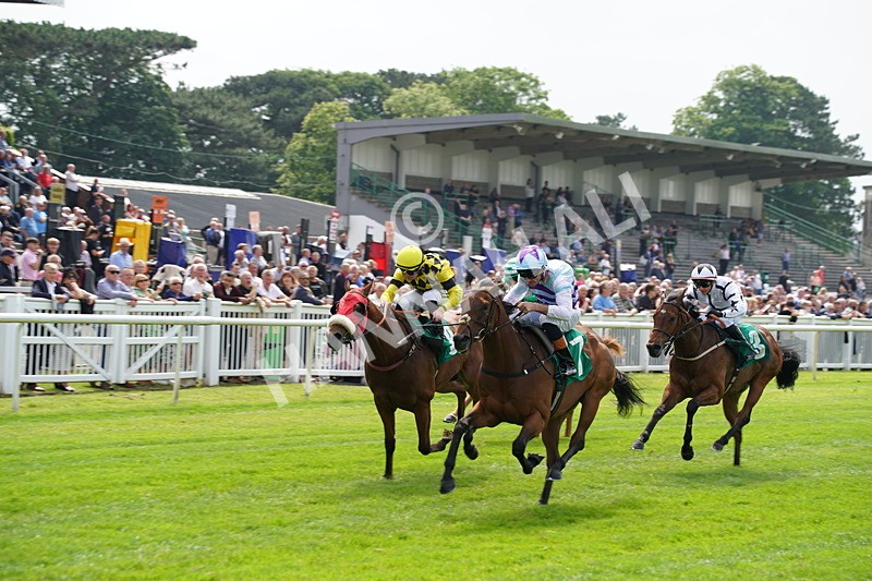 160626-Race 2-Dragon Spin-5 - Race 2 14.50pm PD Hook Gallop Handicap