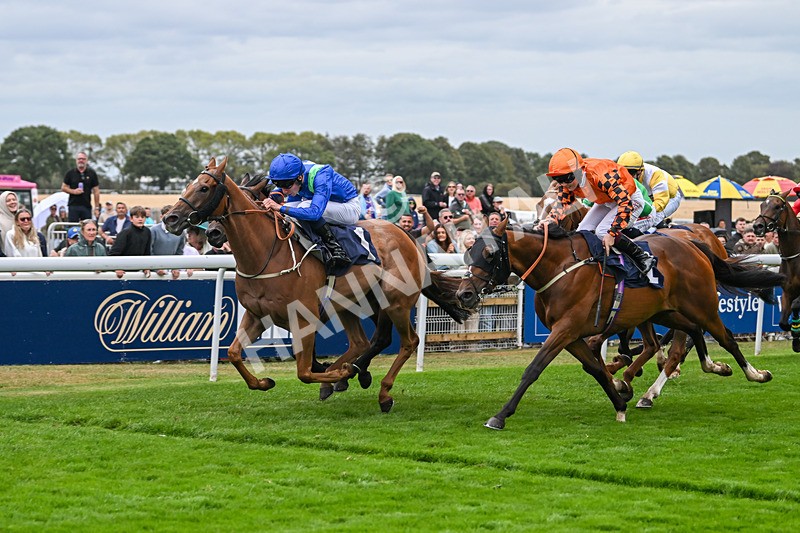 300825-Race 7-Urban Sprawl-2156 - Race 7