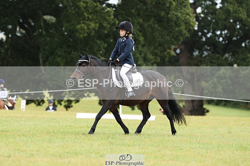 240824X-102556-22239 - D70 Section C and D 9.30 to 11.00