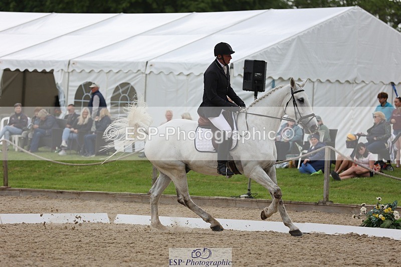 240524-144308-09804 - 285-CHF_BALLYTURN_BRILLIANT-Pascal_Van_moort