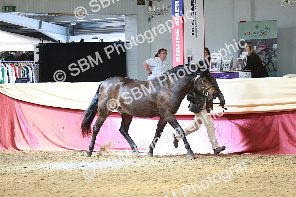 SBM_04733 - Class 7R - Regional IH Diamond