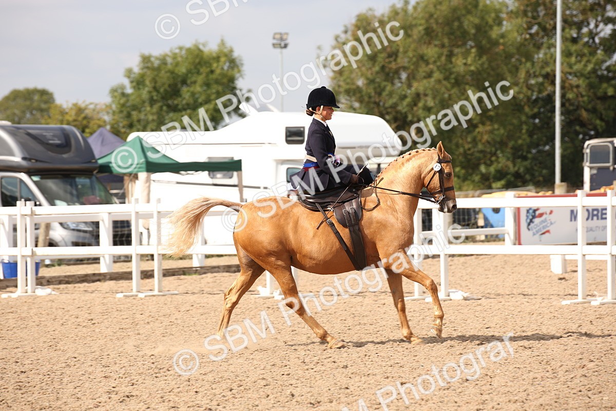 SBM_06790 - Class 24 Concours d'elegance