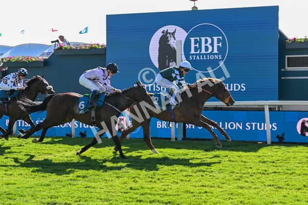 140525-Race 6-Ballistic Missile-2879 - Race 6 4.55pm British Stallion Studs EBF Novice Stakes
