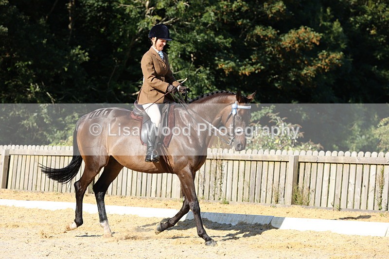 1X9A7537 - Class 7: Novice Ridden Hunter/Hack/Cob/Riding Horse