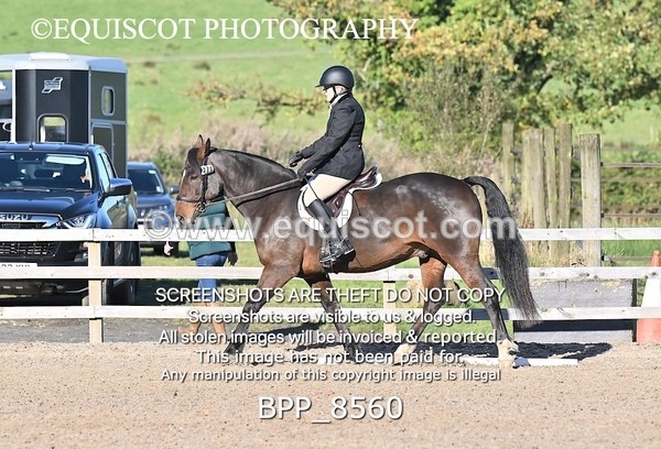 BPP_8560 - SHORT ARENA