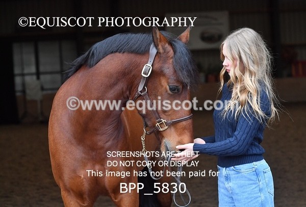 BPP_5830 - Marion West pony 3