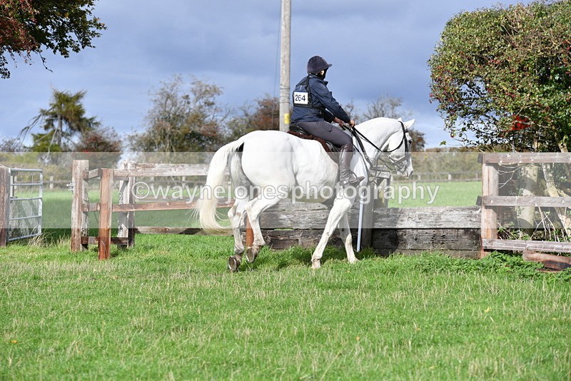 WJ5_0675 - Time 13:59 to 14:28