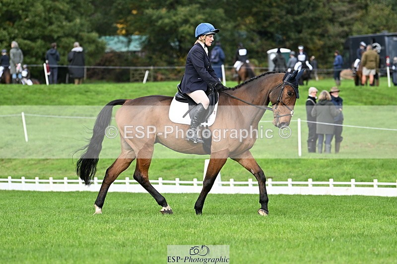 251023A-113520-03610 - G-514-Carolyn.Price With Trot Up