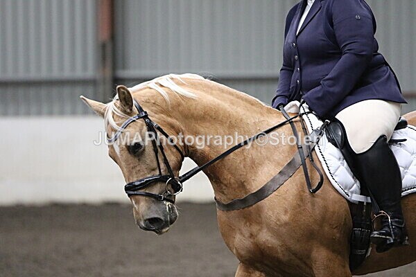 SIAL5472 - CAbin Dressage 5th july 2025