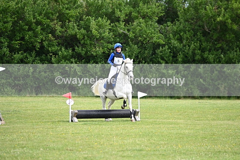 WJ6_2342 - Class 2 40cm