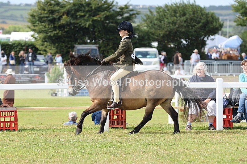 JPP_0780 - Class 16: Cornish Combination Young Rider