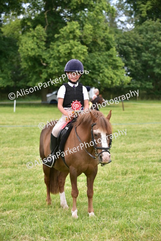 20260614-2711 - Class 13 - Pony Club Pony