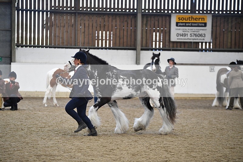 WJ5_4691 - Class 7 In hand coloured / odd coloured