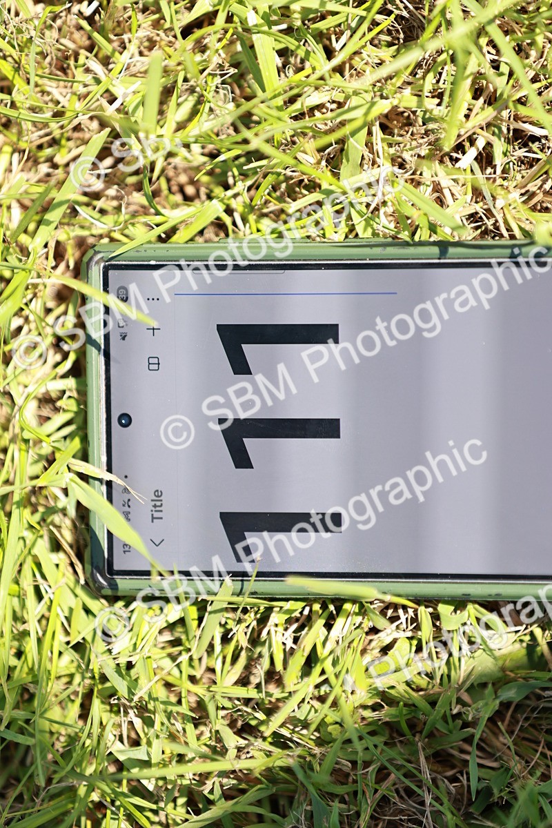 SBM_17349 - Class 110-111 - Training Stakes (70cms 80cms)