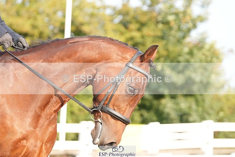 250817-085416-07368 - 146-Jean.BucklandCourt.Esquire