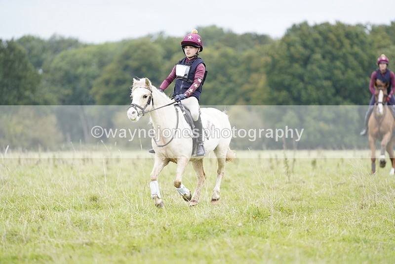 _DSC6942 - Time at Photographer 10:13 to 10:42