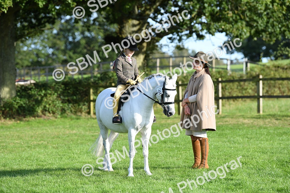 SBM_52418 - S22 - 1st Ridden Show & Show Hunter Pony