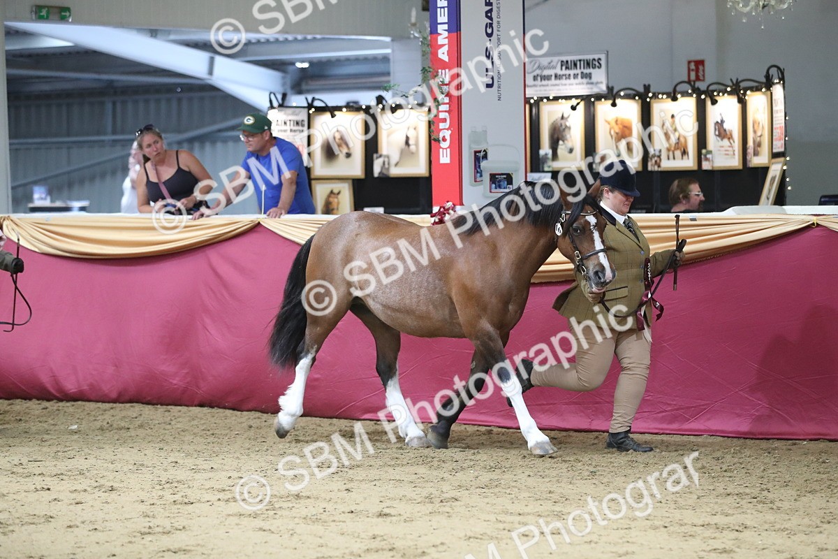 SBM_06495 - Class 9R Regional- IH Pre Vet