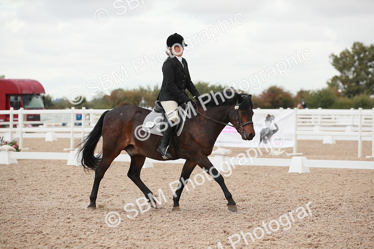 SBM_03744 - Class 31 - Prelim 1