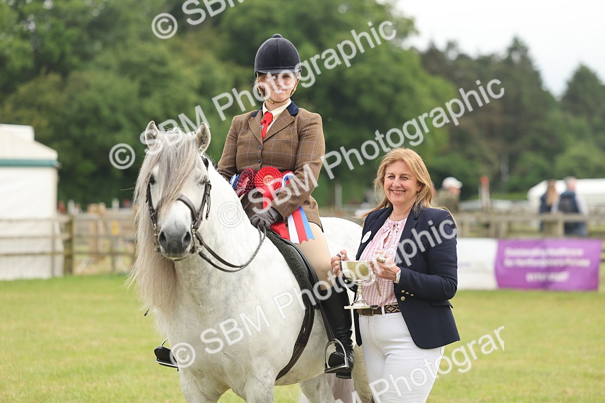 SBM_09154 - Class 78-80 - Ridden M&M Non Welsh Ponies