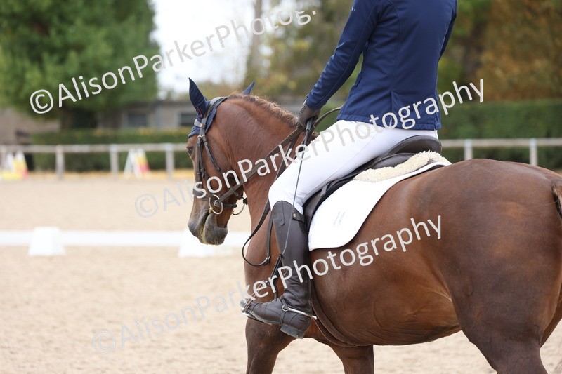 20250820-1262 - Class 18 - Elementary 5