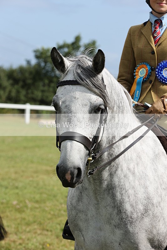 JPP_0958 - Class 16: Cornish Combination Young Rider