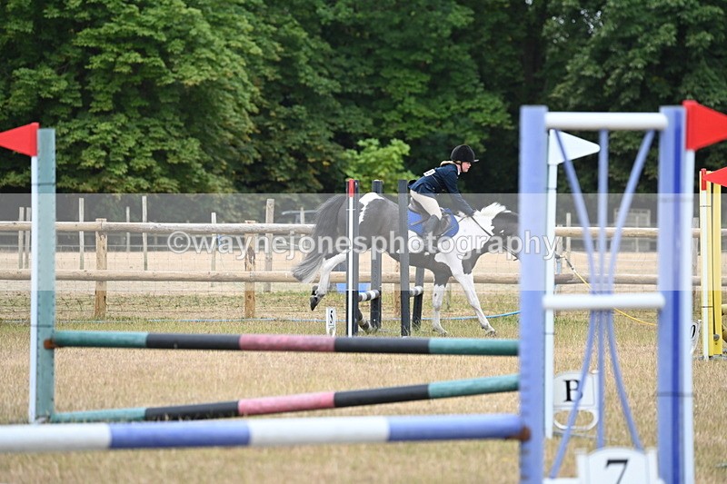 WJ6_9951 - Class 13 Novice Jumping 60cm