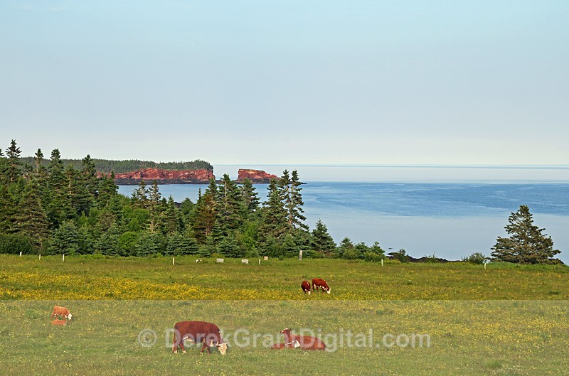 Fundy Rock of Ages - New Brunswick Landscape