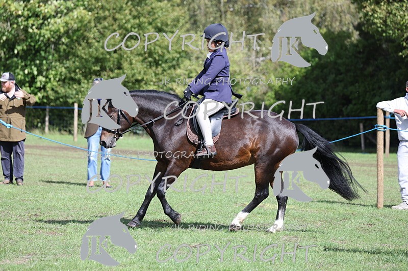 APP_3565 - Class 12 M&M ridden