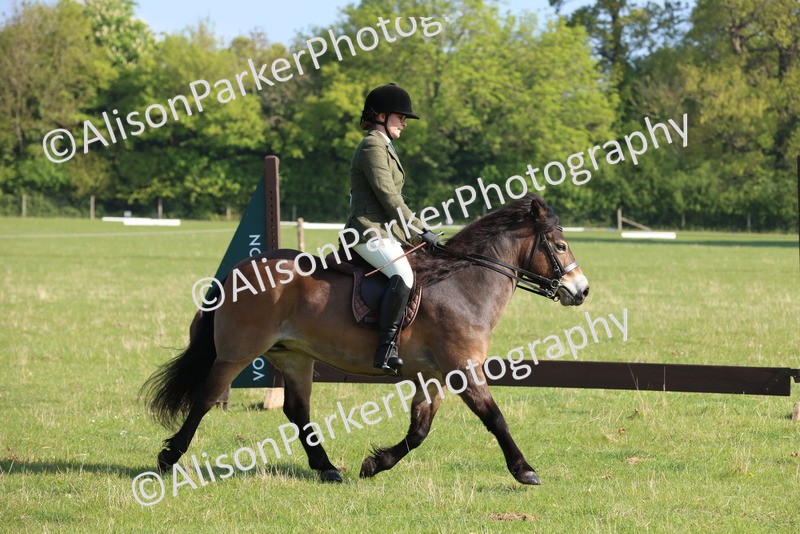 20250427-0566 - Class 17 - Novice Showing