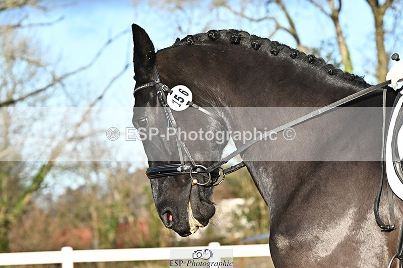 241214-132947-02452 - 156-Jo.Roberts-MajesticC