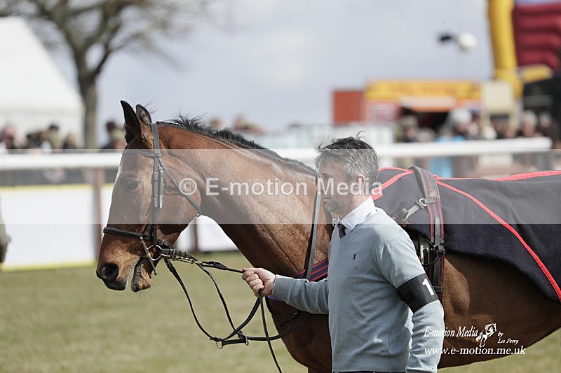 PtP 180323 239 - Shelfield Park Races with Croome & West Warwickshire Hunt  18/03/23